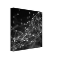 51c0a3e2-aefd-4a6c-97af-795b452f8aad
